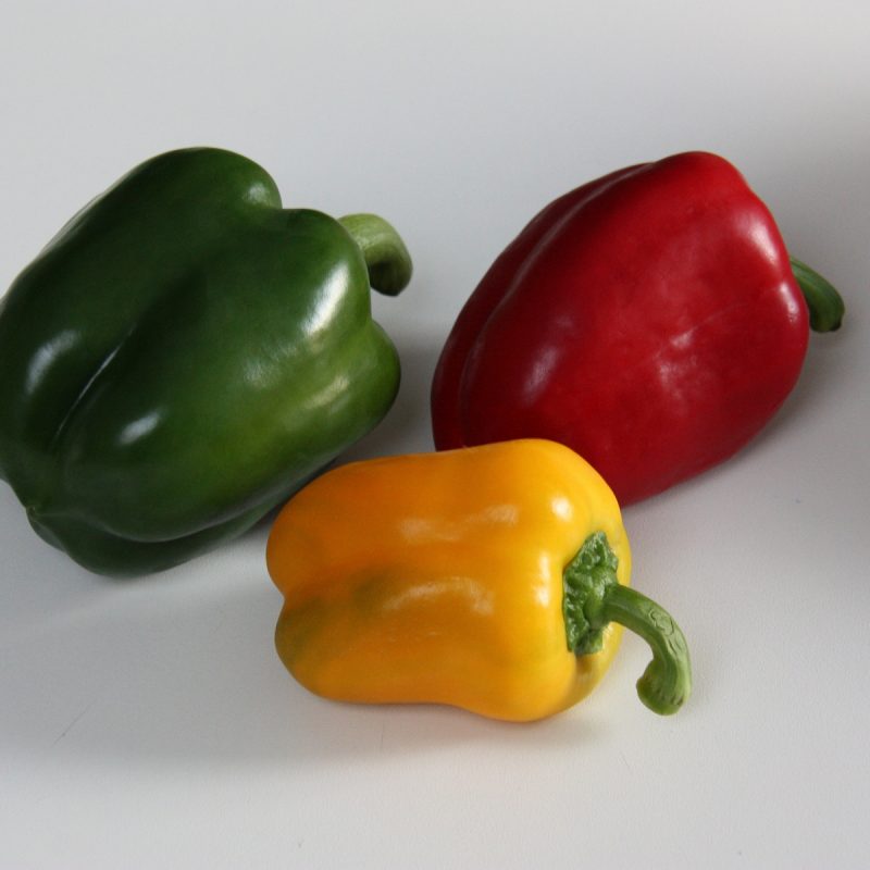 Capsicum
